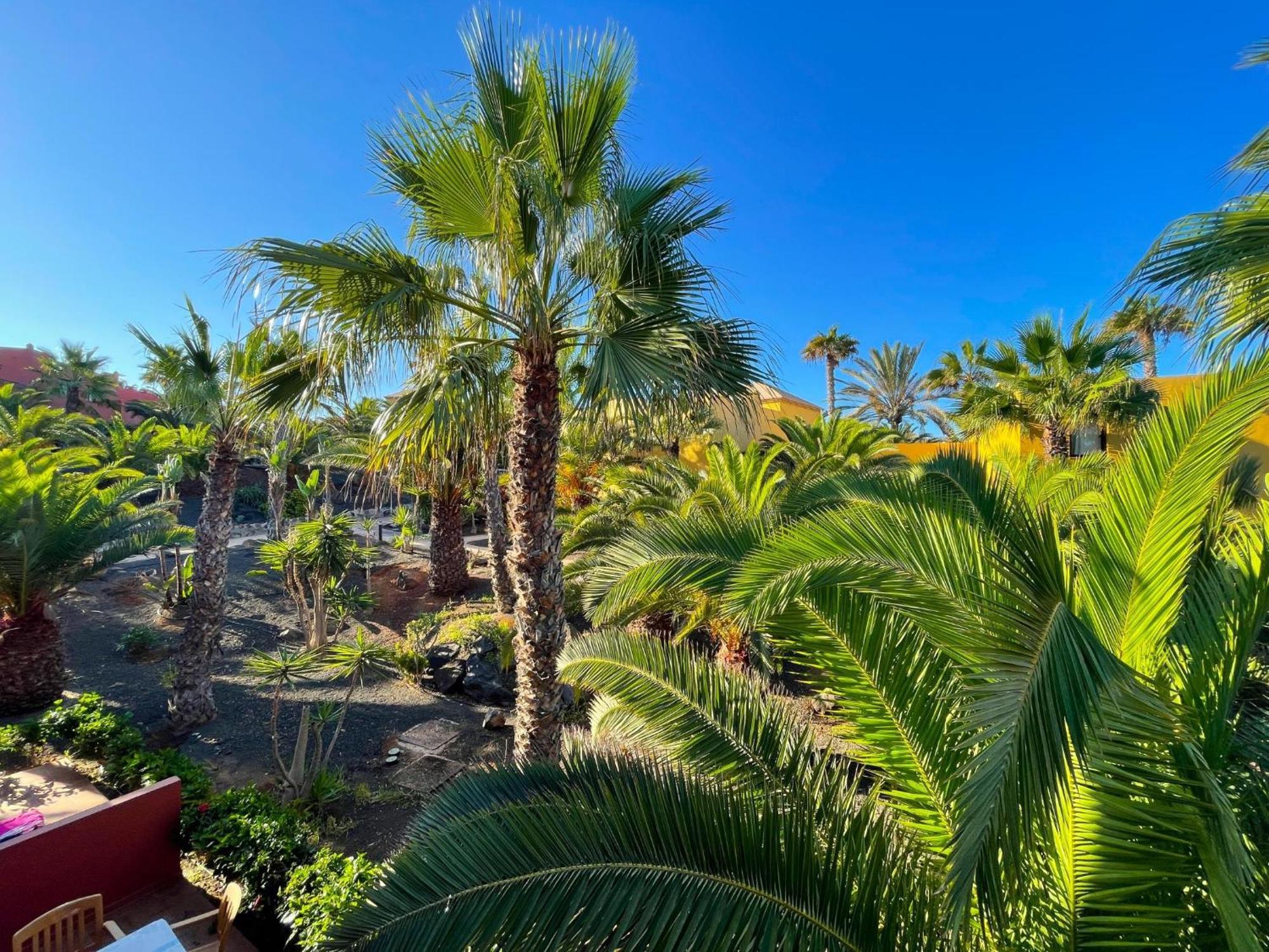 Oasis Tamarindo By Best Holidays Fuerteventura Corralejo Bilik gambar