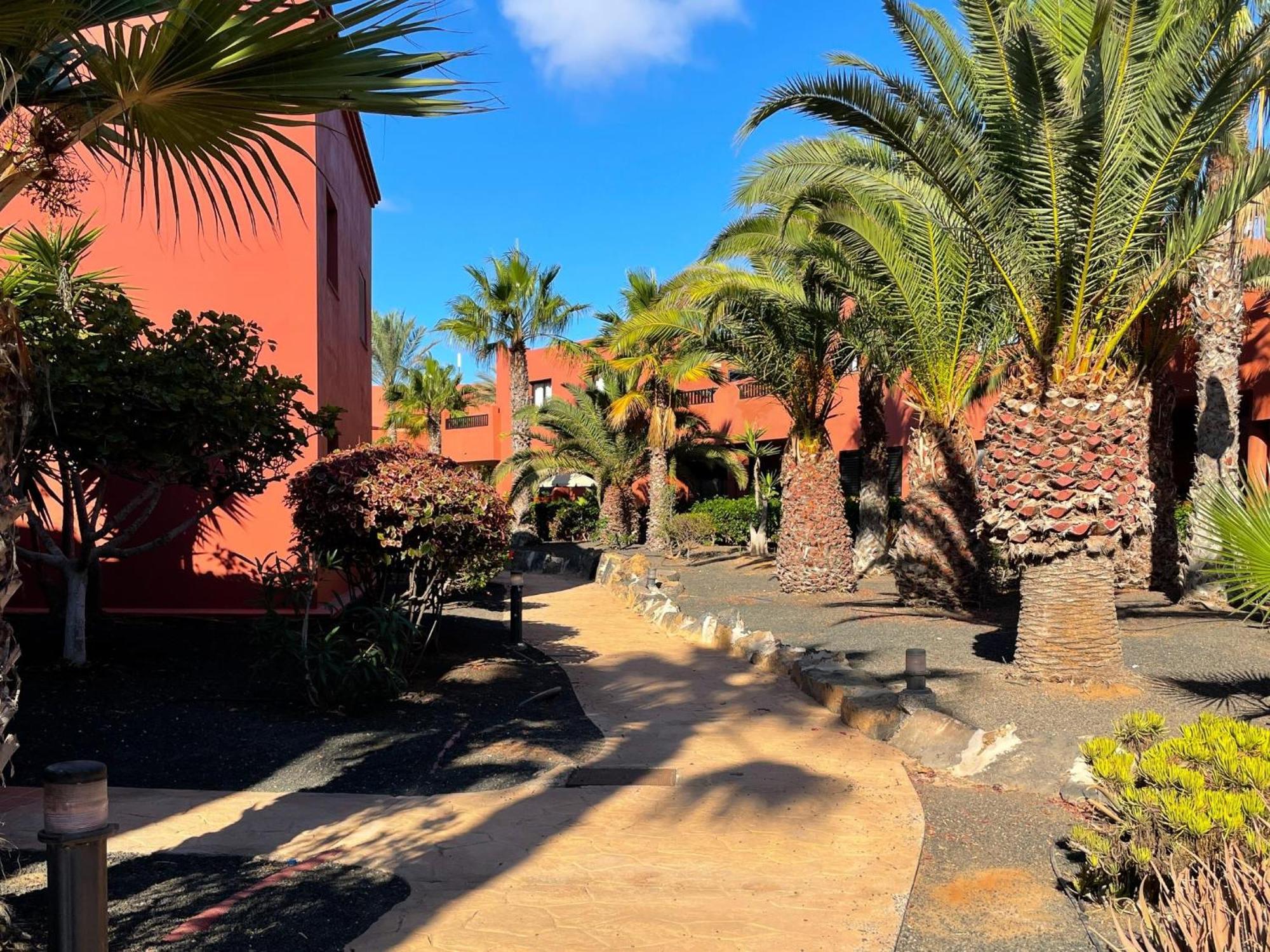 Oasis Tamarindo By Best Holidays Fuerteventura Corralejo Bilik gambar