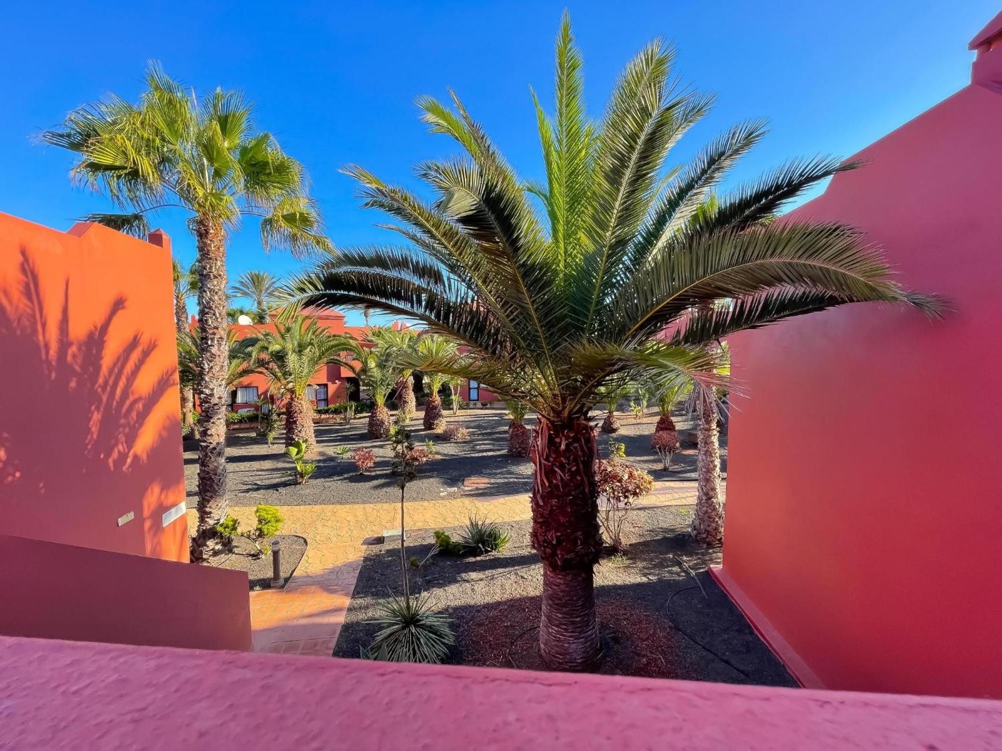 Oasis Tamarindo By Best Holidays Fuerteventura Corralejo Bilik gambar